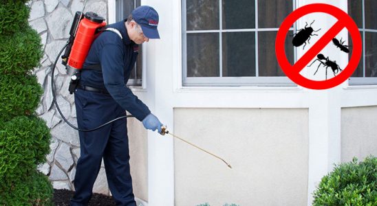 Buca Bit İlaçlama böcek ilaçlama ve haşere kontrolü — ilaclama-tr.com